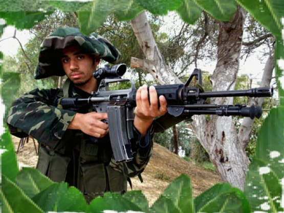 الشهيد  تامر صالح الغرباوي