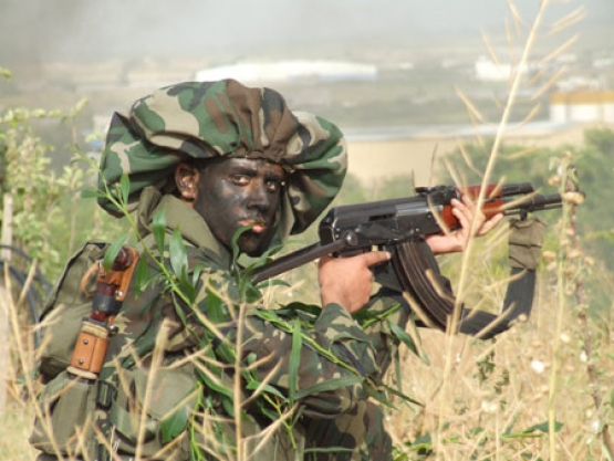 الشهيد  تامر صالح الغرباوي