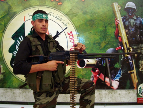 الشهيد القسامي/ محمد هاشم أبو هاشم