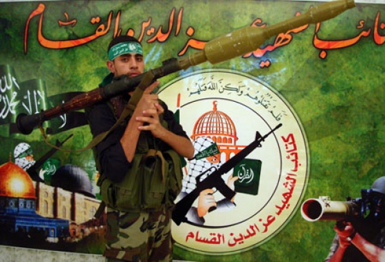 الشهيد القسامي/ محمد هاشم أبو هاشم