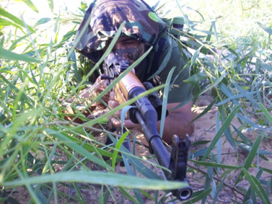 الشهيد يونس محمد الشرباصي