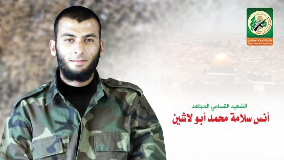 الشهيد القسامي / أنس سلامة أبو لاشين