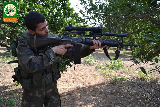 الشهيد القسامي / أنس موسى أبو شاويش