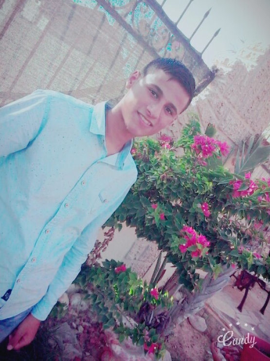 الشهيد القسامي /  أحمد سلامة الحولي