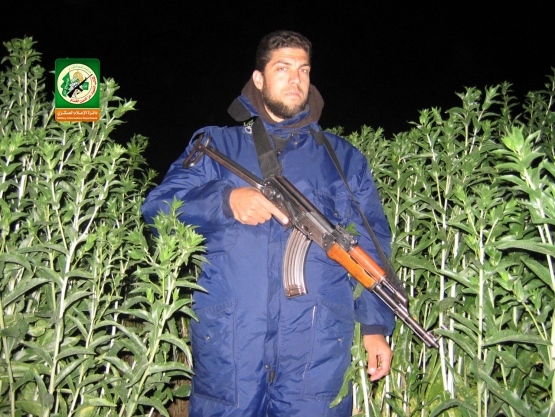 الشهيد القسامي / معتز عبد الرازق أبو شهلا