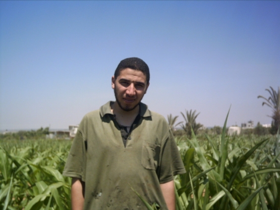 الشهيد القسامي/ محمد محمد أبو عرار