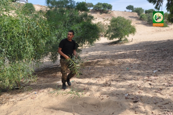 الشهيد القسامي / محمد عبد ربه القرا