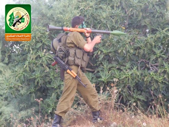 الشهيد القسامي/ نادر محمد فوزي حلاوة