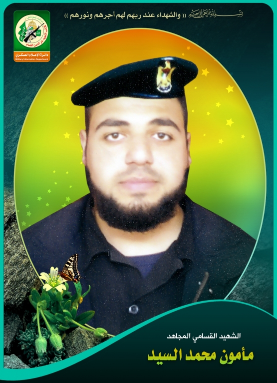 الشهيد القسامي / مأمون محمد أحمد السيد