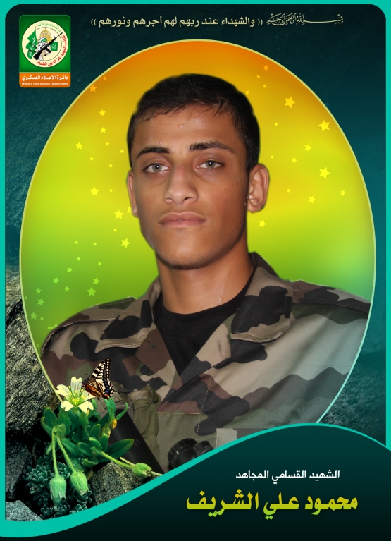 الشهيد القسامي / محمود علي محمد الشريف