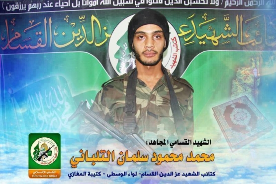 الشهيد القسامي المجاهد / محمد محمود التلباني