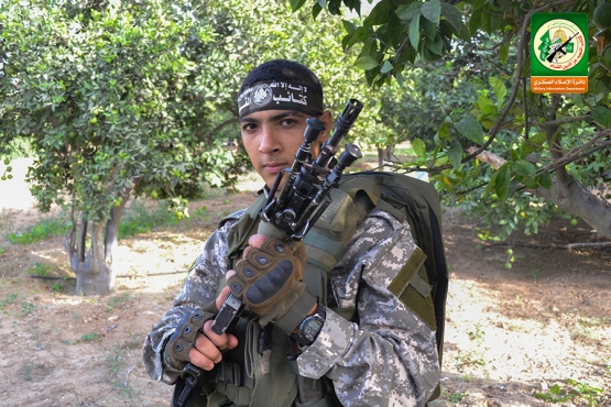 الشهيد القسامي / أنس المصري