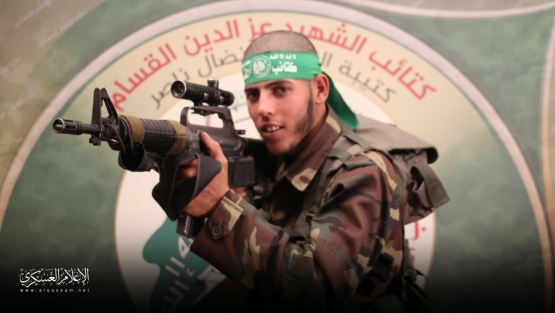 الشهيد القسامي/ حبيب حمزة المصري