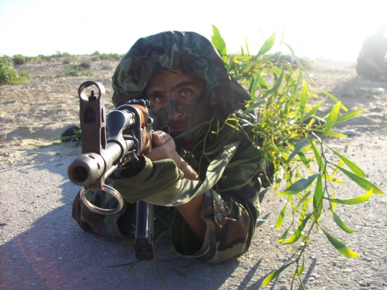 الشهيد القسامي/ مازن الشرباصي